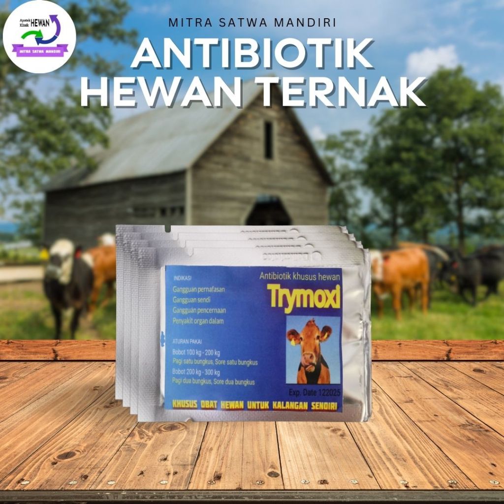 ANTIBIOTIK HEWAN TERNAK