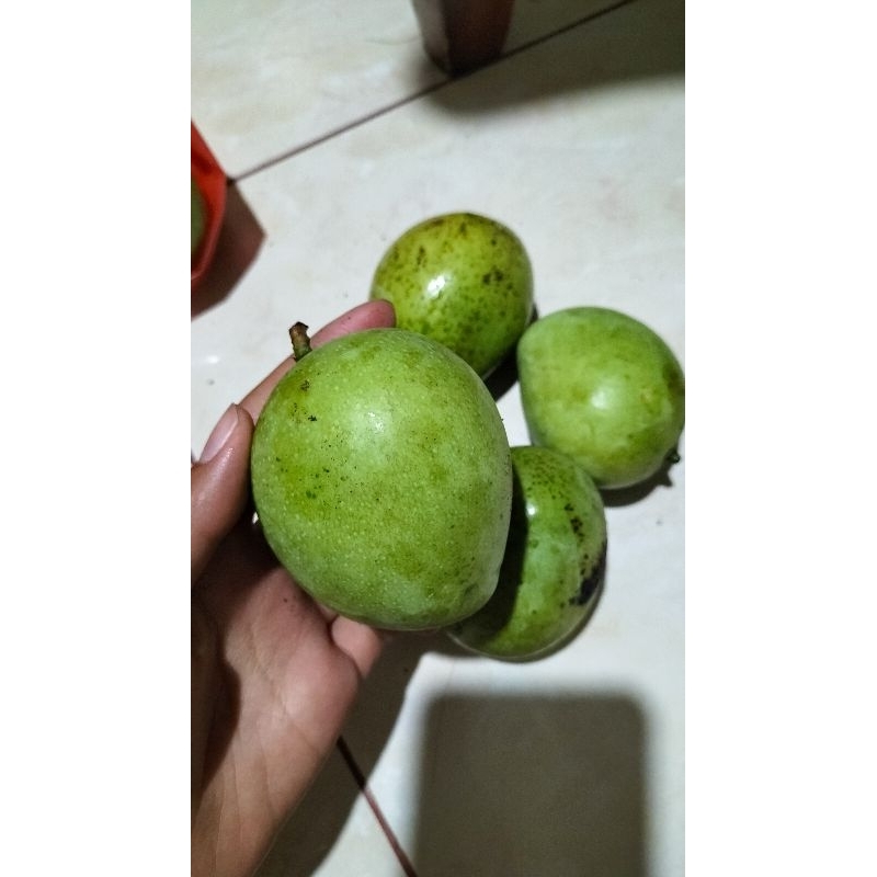 

mangga apel muda buat rujak