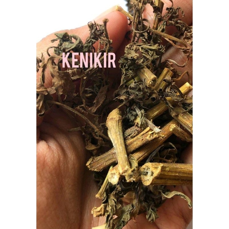 

Kenikir Kering 500gr bisa cod