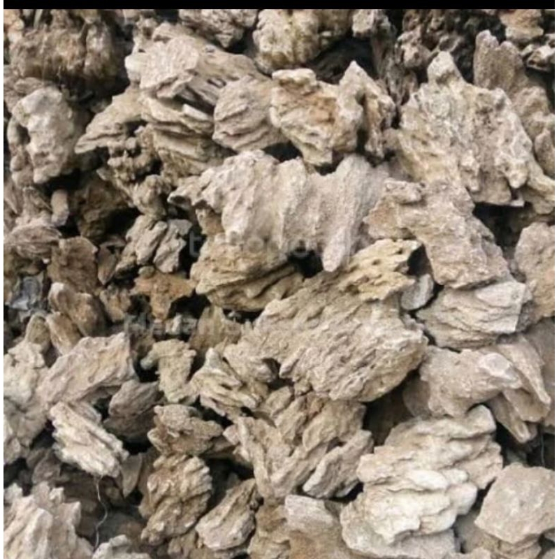 Batu pasir sandstone/batu aquascape/paludarium