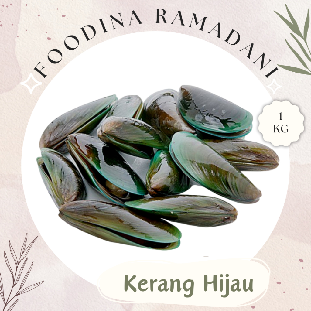 

KERANG HIJAU Cangkang - Scallop Fresh [ Berat 1.000gr ] Harga Per KG