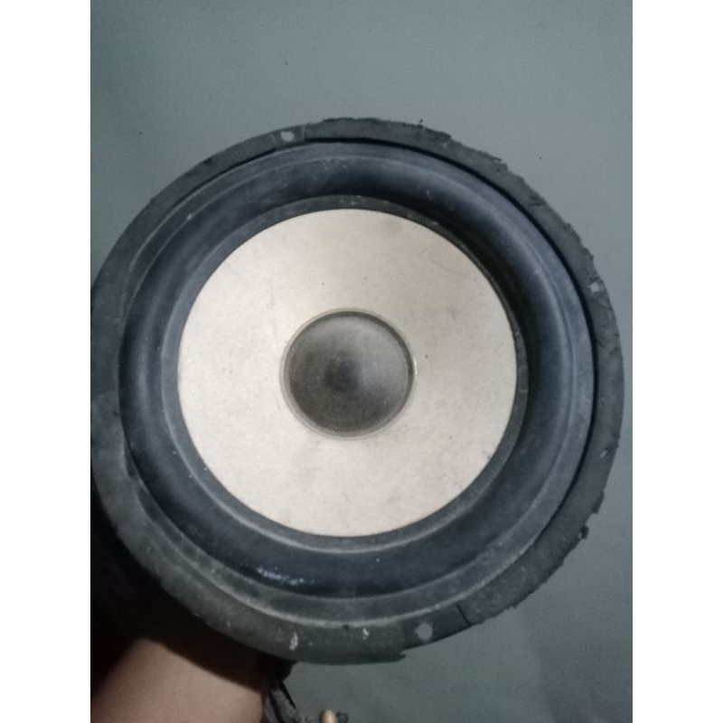SPEAKER POLYTRON COPOTAN 8 INCH NORMAL TOTAL