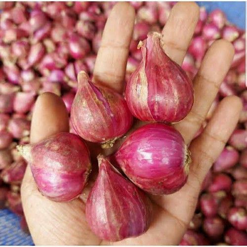 

Bawang Merah Fresh | Bumbu Dapur Berkualitas | Harga 250gr