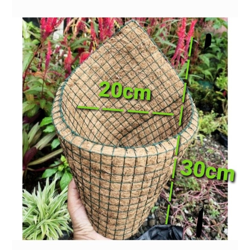 pot sabut kelapa jumbo pot angrek sabut kelapa