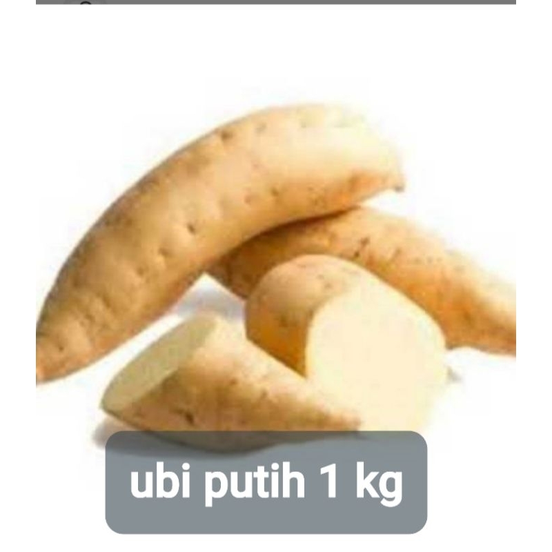 

ubi putih 1kg