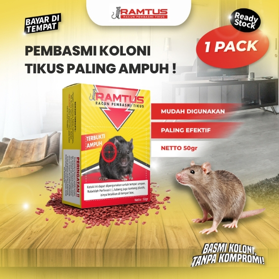 Umpan Jebakan Tikus Masal Paling Efektif, Tanpa Alat Jebakan Tikus Jepit, Listrik, Massal & Elektrik