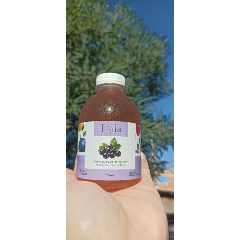 

Dalla Kombucha blackcurrent