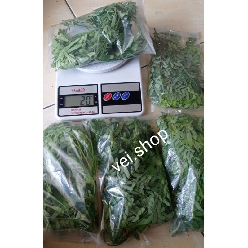 

DAUN SINOM SEGAR (20gr)