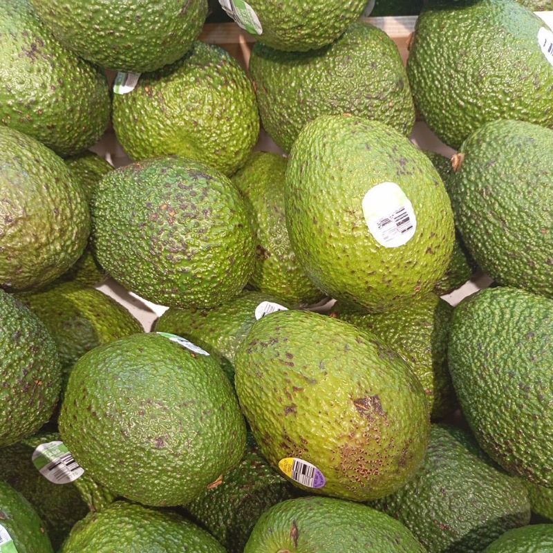 

Alpukat Hass Avocado Has Aussie segar 1kg fresh