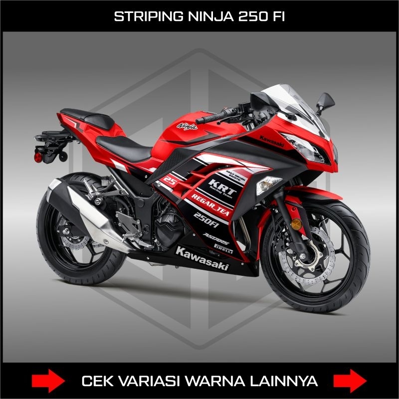 STRIPING KAWASAKI NINJA 250FI / DESIGN RACING KRT