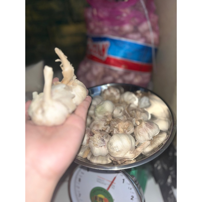 

Bawang Putih Segar, Murah dan Berkualitas✨