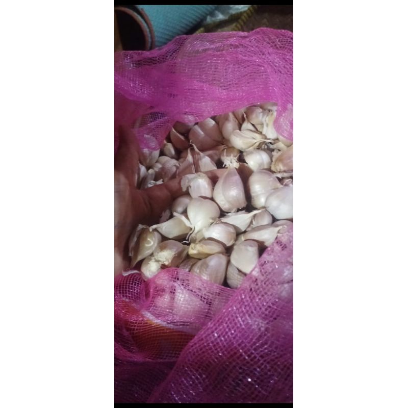 

BAWANG PUTIH KATING KERING BERSIH