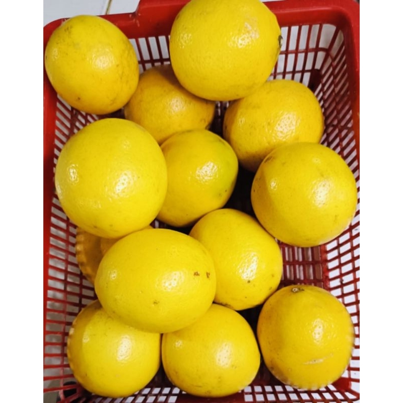 

JERUK LEMON