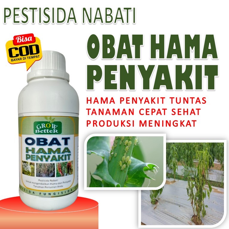 Pestisida Nabati Pembasmi Hama Ulat Kutu Kebul Wereng Belalang dan penyakit Tanaman Cabe Padi Tomat