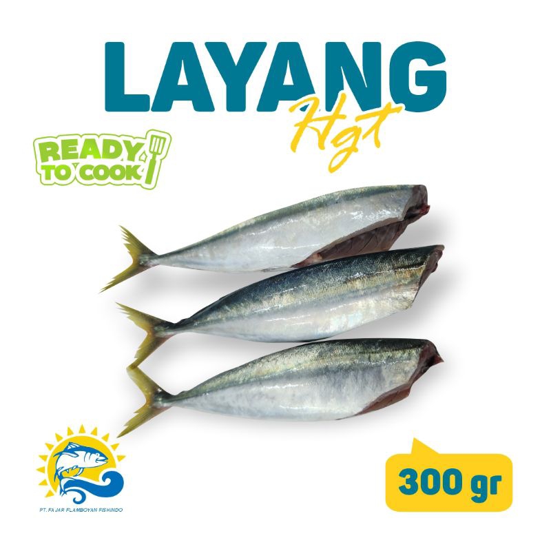 

Ikan layang HGT 300 gram