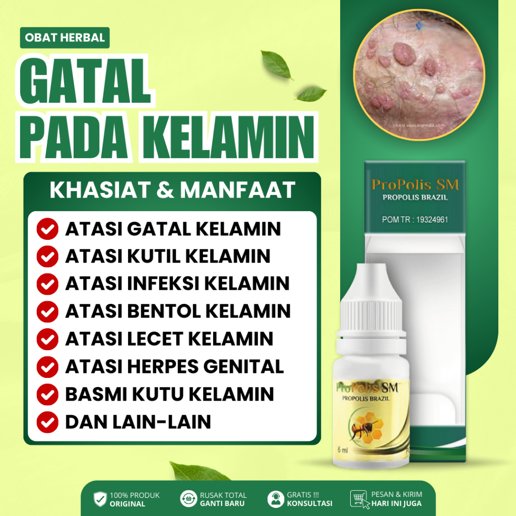 Obat Penghilang Kutil Kelamin HPV, Salep Perontok Kutil Kelamin, Obat Penyakit Kelamin, Obat Gatal K