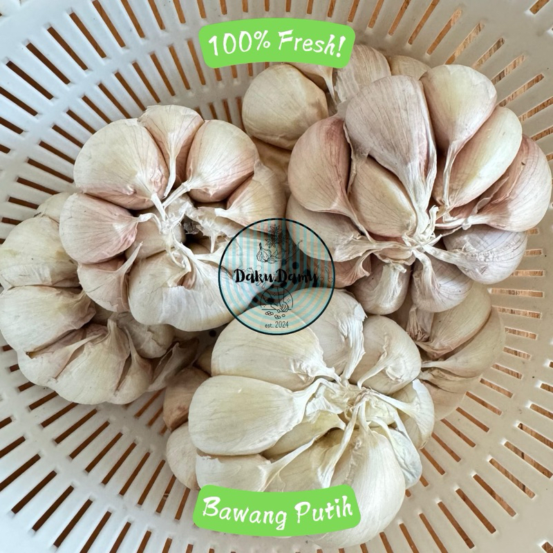 

Bawang Putih Banci Segar