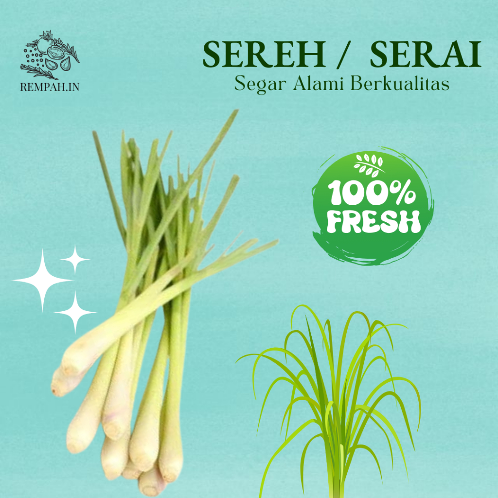

Sereh Segar (Serai) - 1 Kg - Bumbu Masakan dan Aromaterapi Berkualitas Tinggi - Pilihan Terbaik