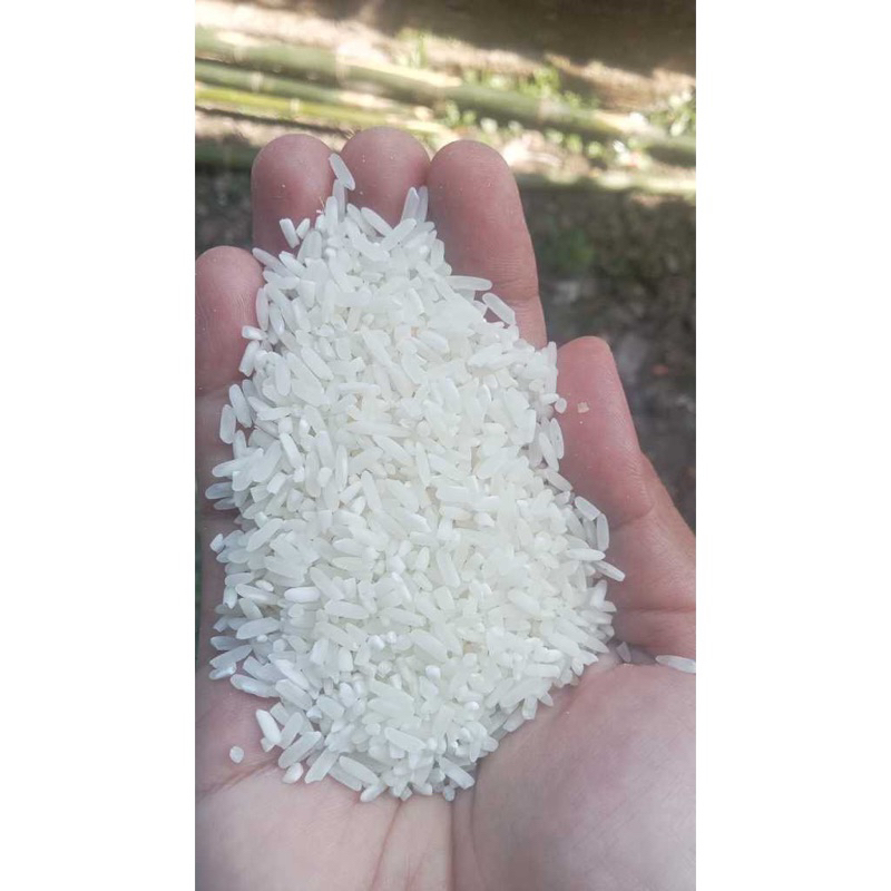 

Beras 1Kg lokal reseler