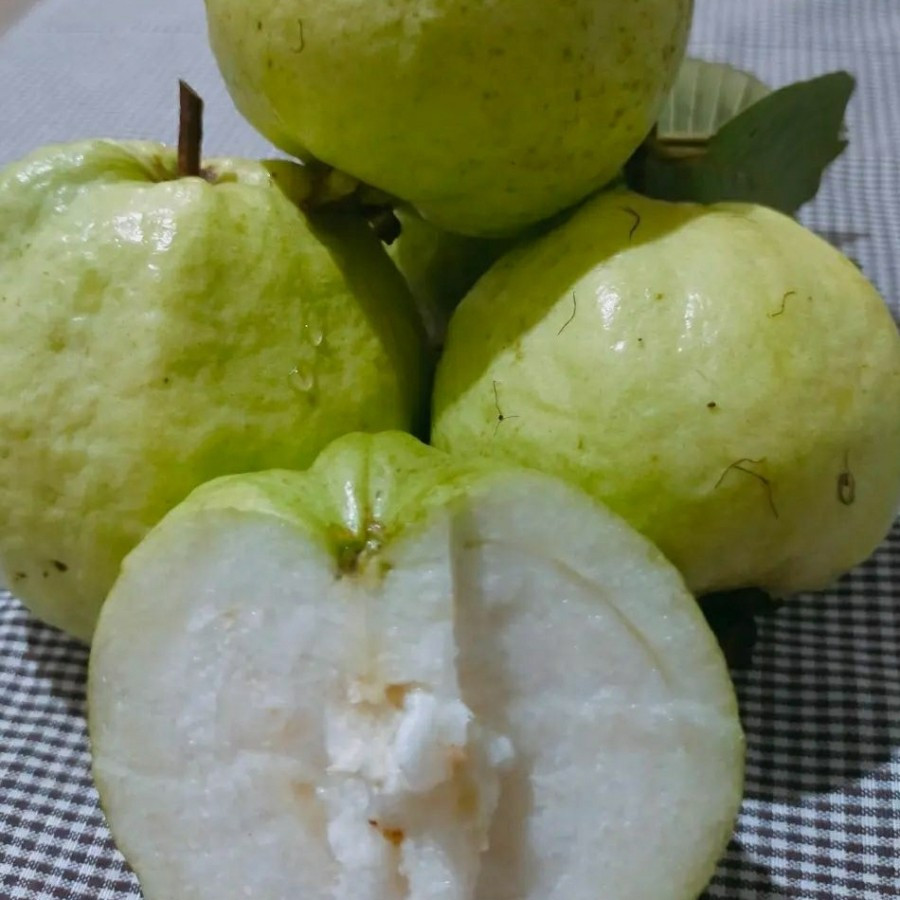 

Jambu kristal lokal per kilo manis