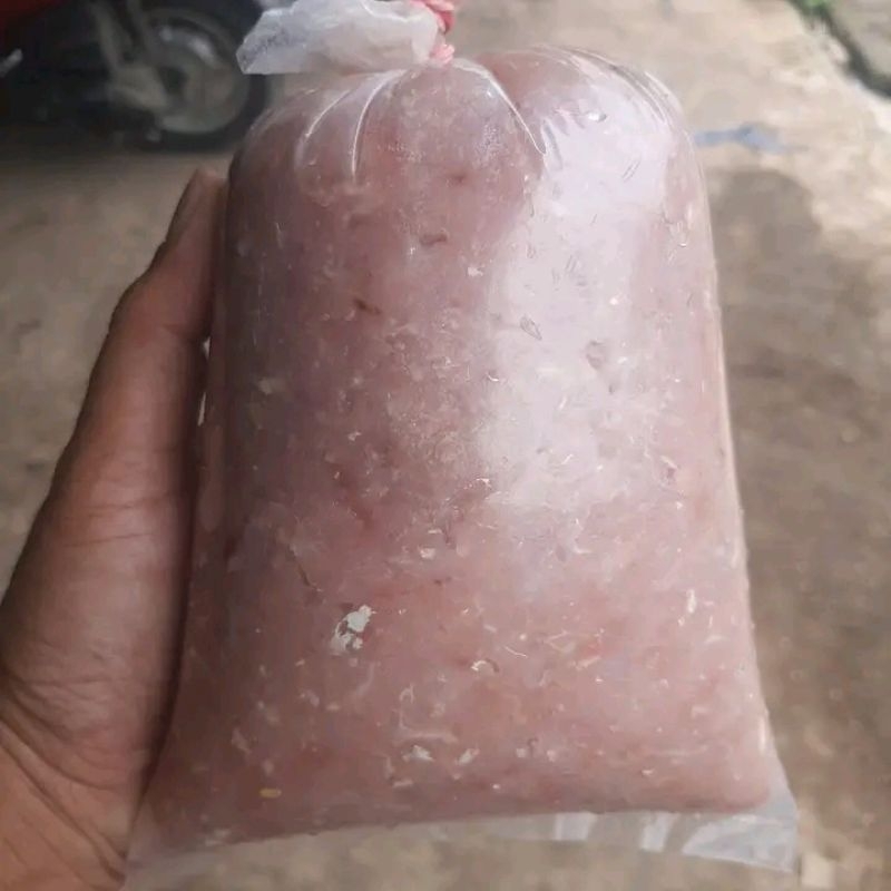 

Daging giling ikan kurisi