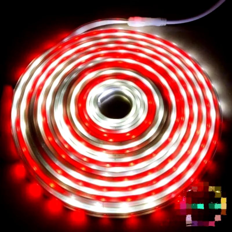 led strip merah putih