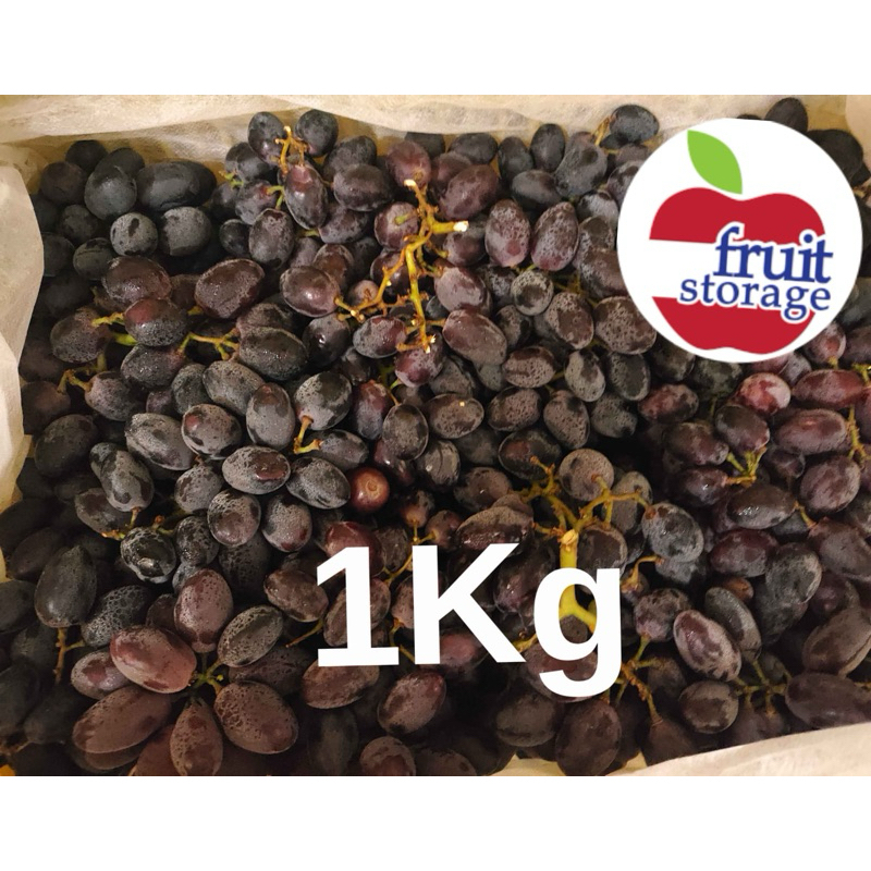 

Buah Anggur Hitam Seedless 1kg Import Egypt tanpa biji impor Mesir Australia Autumn royal Midnight USA