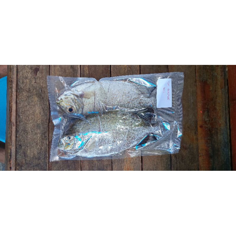 

IKAN BURONANG FRESH FISH FROZEN ± 750 gram