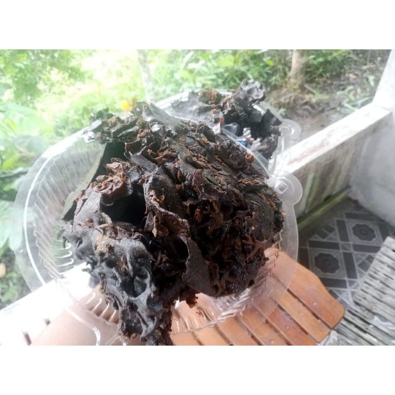 Propolis Trigona Itama 1kg Propolis Mentah