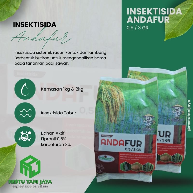 Insektisida Andafur | Pembasmi hama sundep