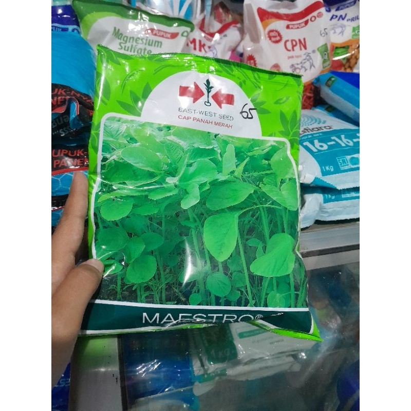 

MAESTRO BAYAM 500GR CAP PANAH MERAH