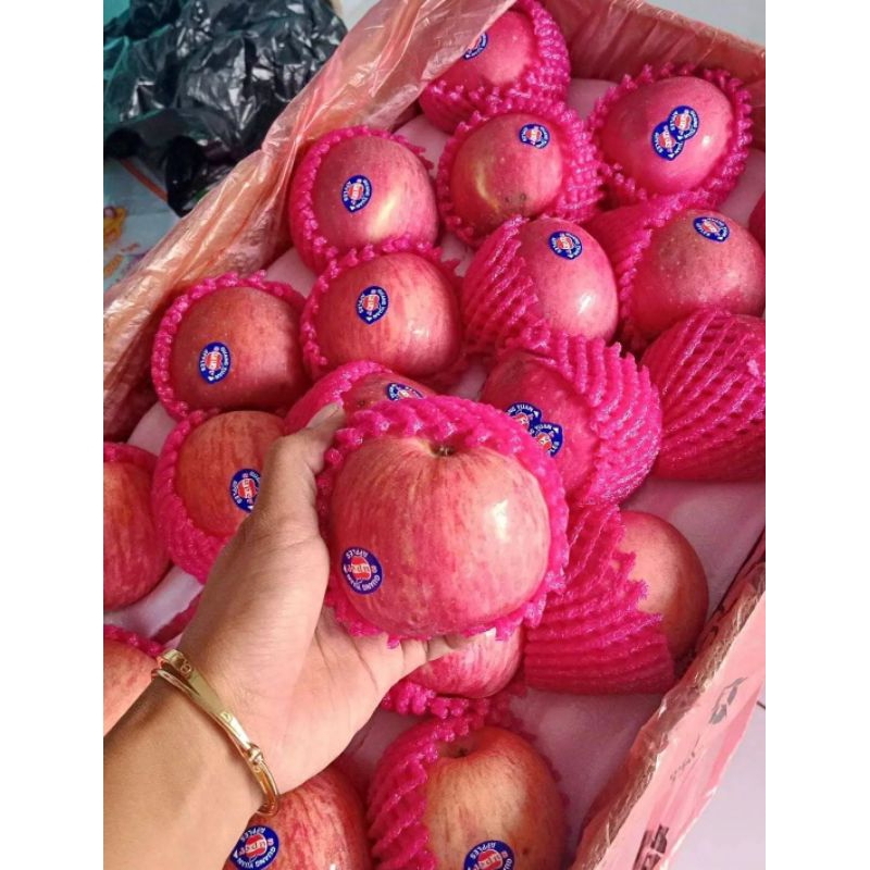 

Apel Fuji impor segar 500 gram / 1 KG