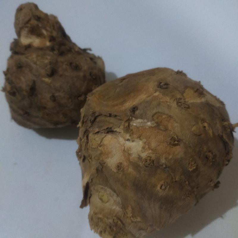 

Temulawak Segar 500 gr