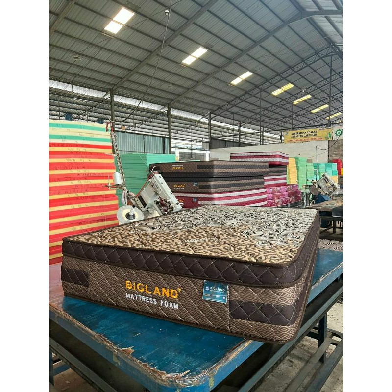 Kasur Busa Bigland Foam