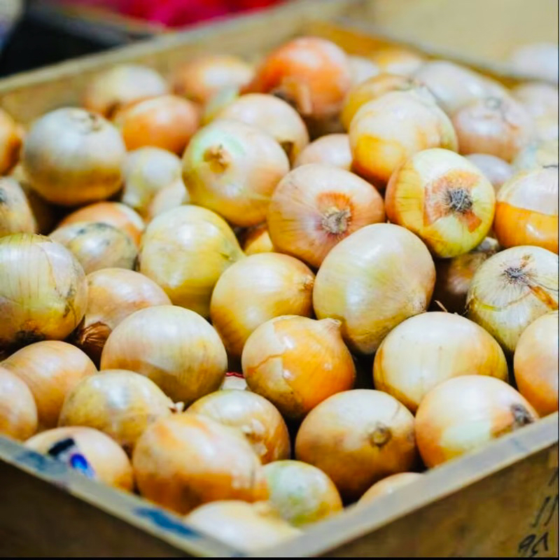 

bawang bombai 500gram
