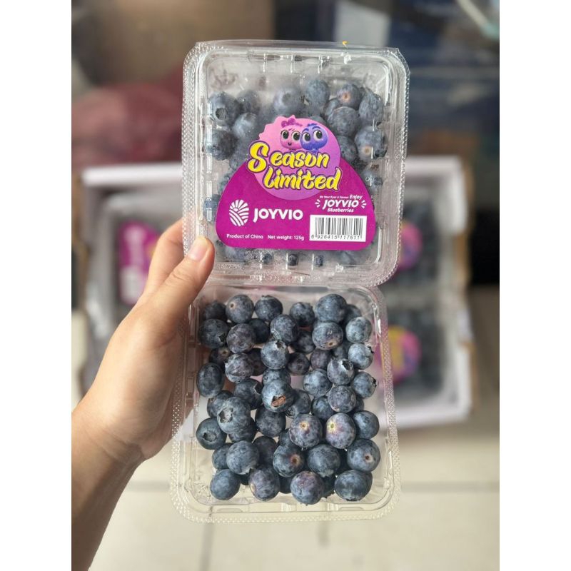 

Blueberry / Blueberry Import