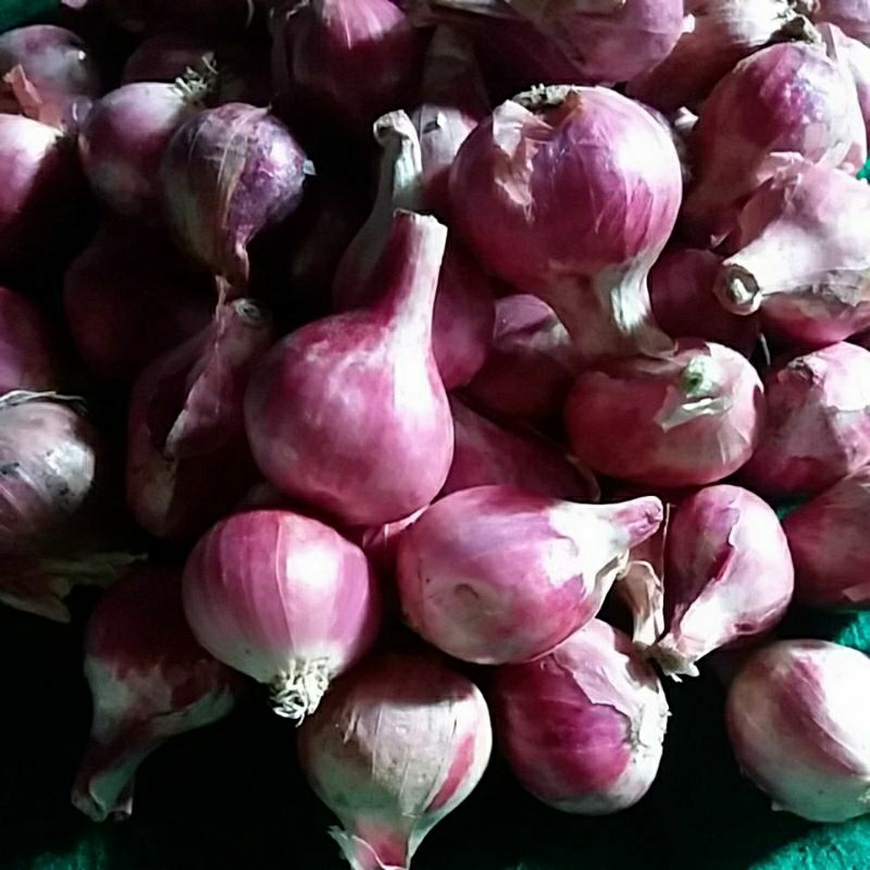 

Bawang merah super per 10 kg