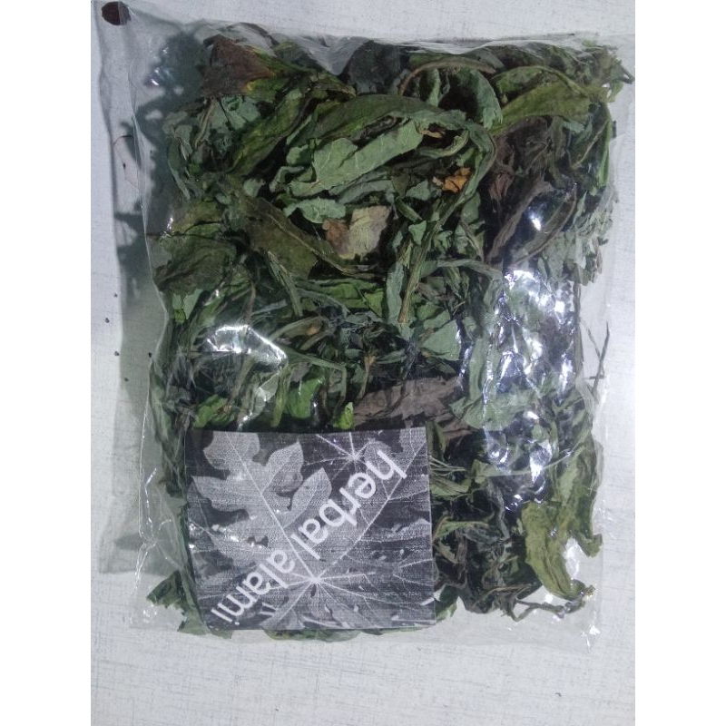 

Daun Tampuyang herbal alami