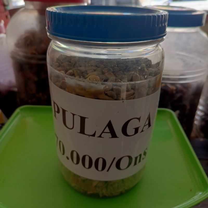 

kapulaga/kapulaga murah/ kapulaga hijau/kapulaga arab/kapulaga india