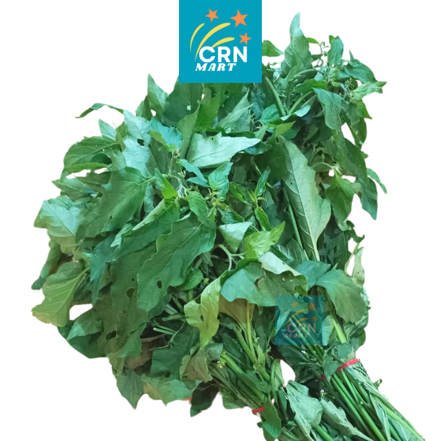 

CRN MART - Sayur Daun Meranti/Daun Tutan 1 Ikat
