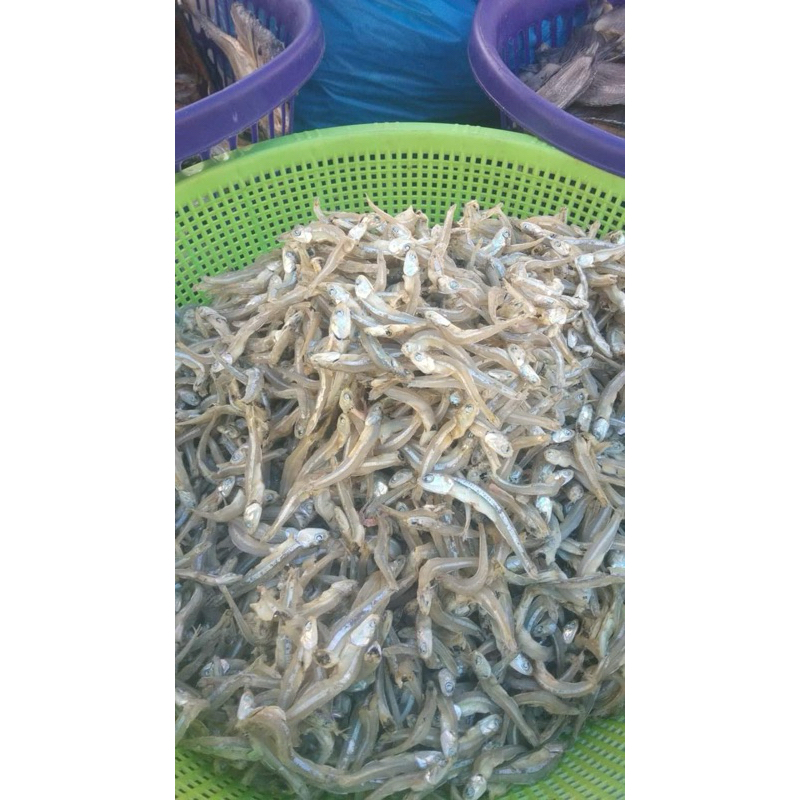 

ikan teri / bada abuih 115000/1 kg bisa beli per 100 g