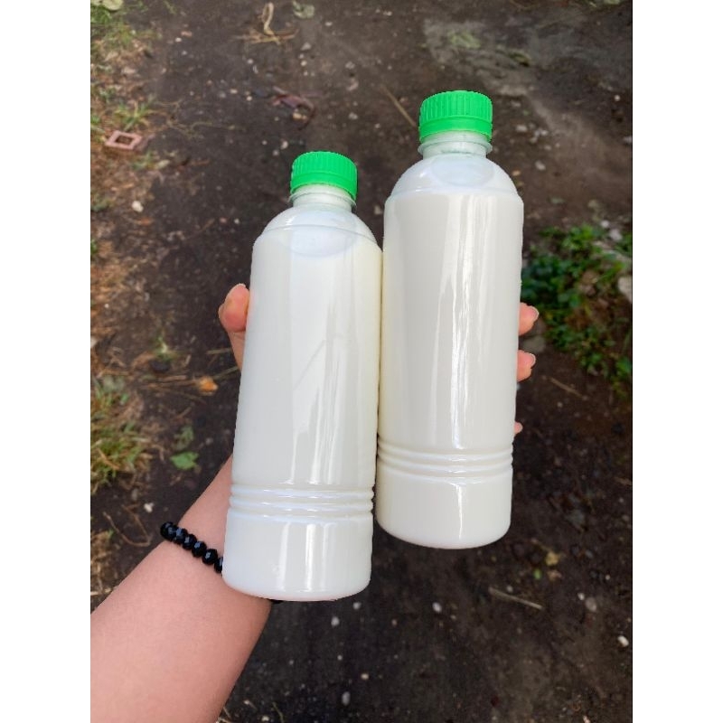 

SUSU KAMBING ETAWA MURNI BALI