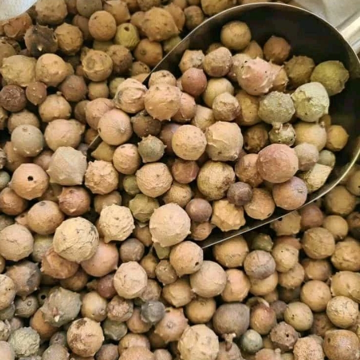 

buah manjakani 500 gram/biji manjakani kering