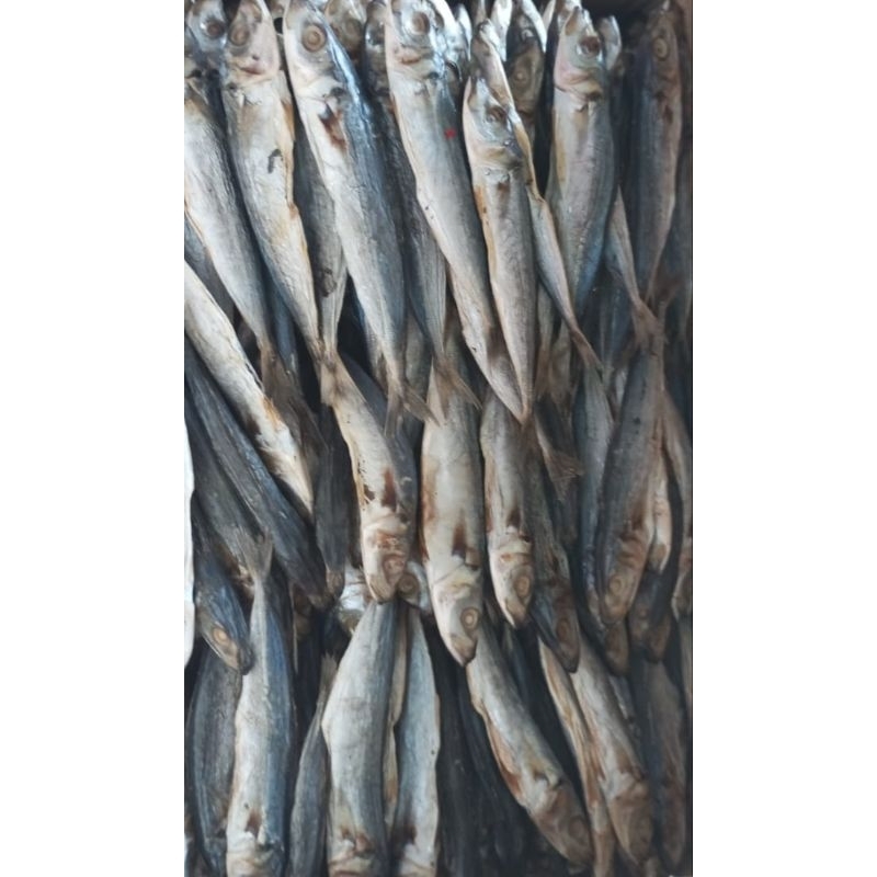 

Ikan Asin PEDO Kemasan 1Kg