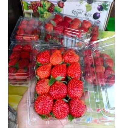 

STRAWBERRY JUMBO 300GR/PACK