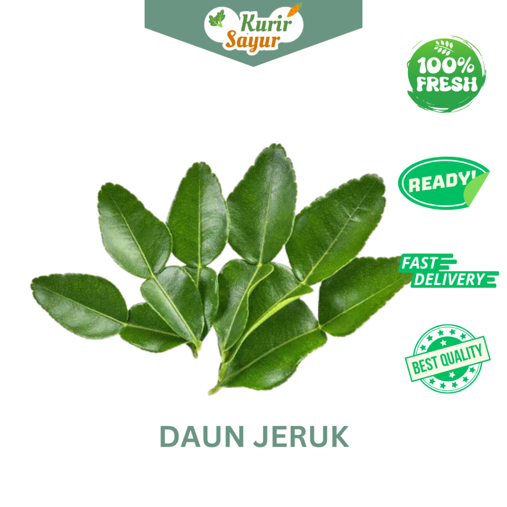 

KURIR SAYUR - DAUN JERUK PAKET 2000