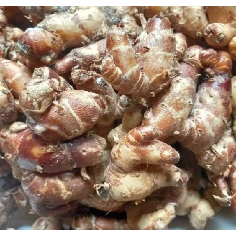 

Kencur Segar / 100 Gram