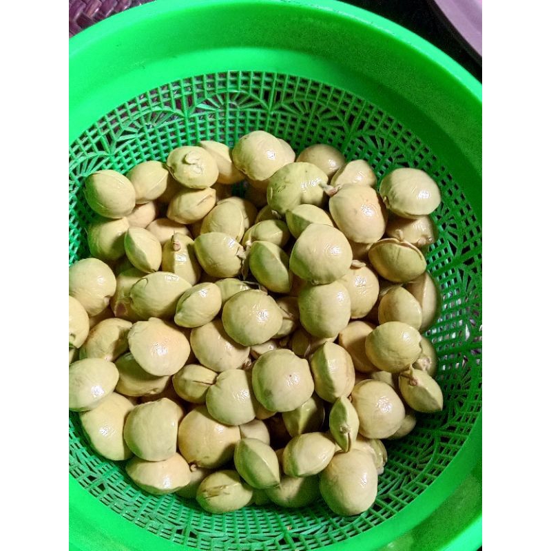 

jengkol khas kalimantan selatan,1kilo(Rp.15-20)