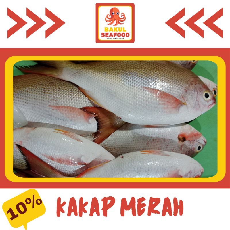 

KAKAP MERAH MEDIUM 500GR-1000GR