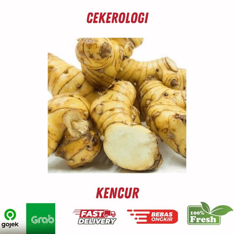 

Kencur 250gr / Kencur / Kencur Fresh Berkualitas / JABODETABEK / Rempah Rempah